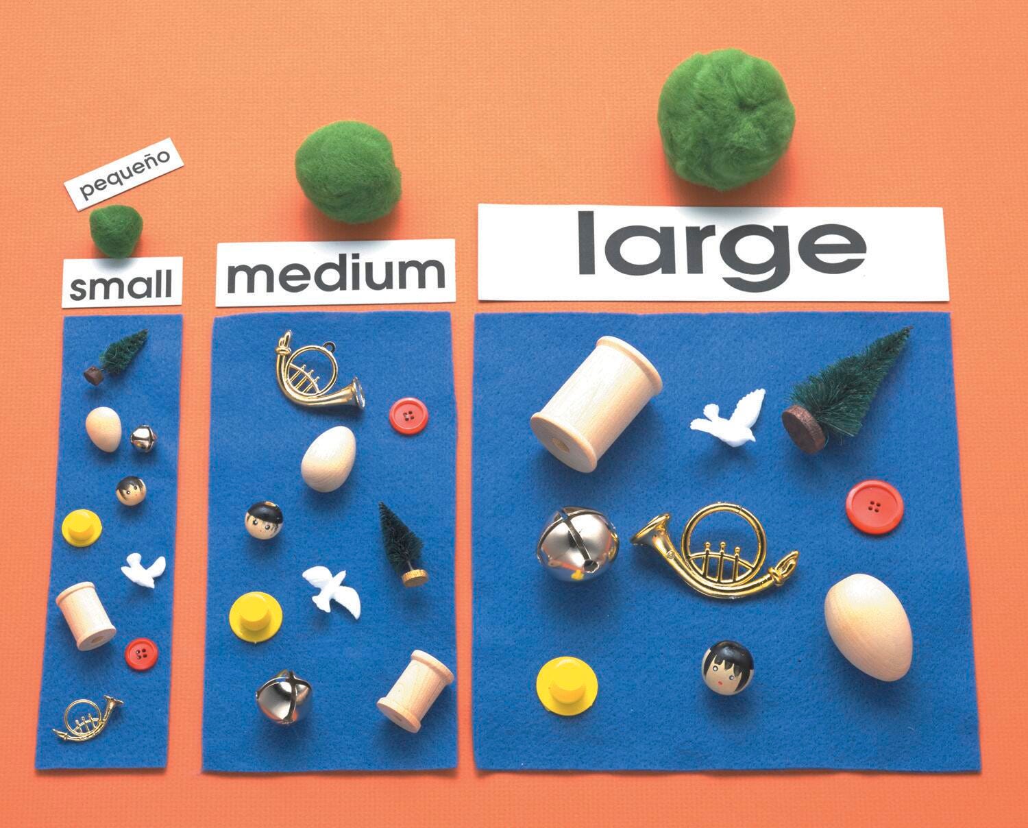 Primary Concepts Size Sort Game 251610